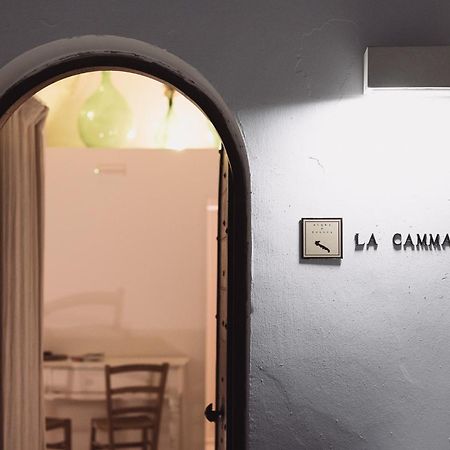 La Cammara Al Duomo Lecce Luxury Apartment Ngoại thất bức ảnh